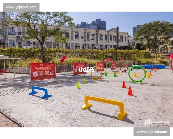 体育APP注册流程详解 轻松开启您的运动之旅 体育APP注册流程详解 轻松开启您的运动之旅