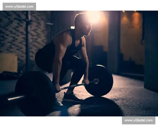 最全面体育APP推荐下载助你轻松掌握运动数据与健身计划